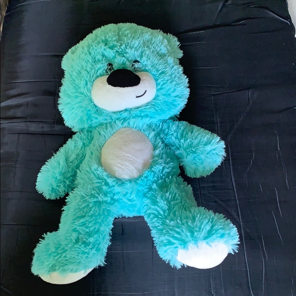 Turquoise teddy bear